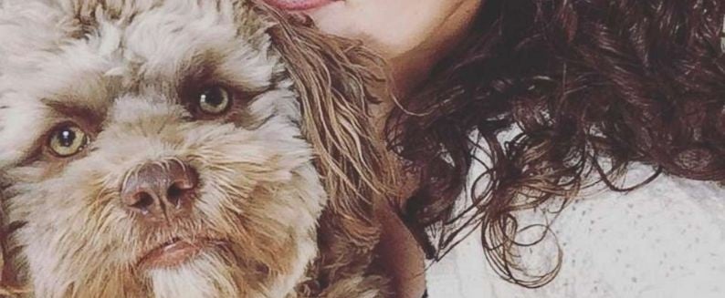 The Dog That Looks Like a Person