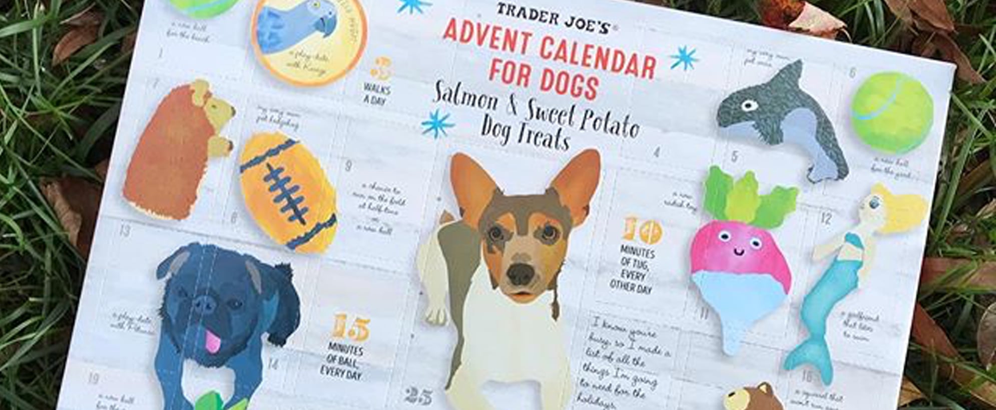 Trader Joe S Advent Calendars For Dogs Are Back On Shelves