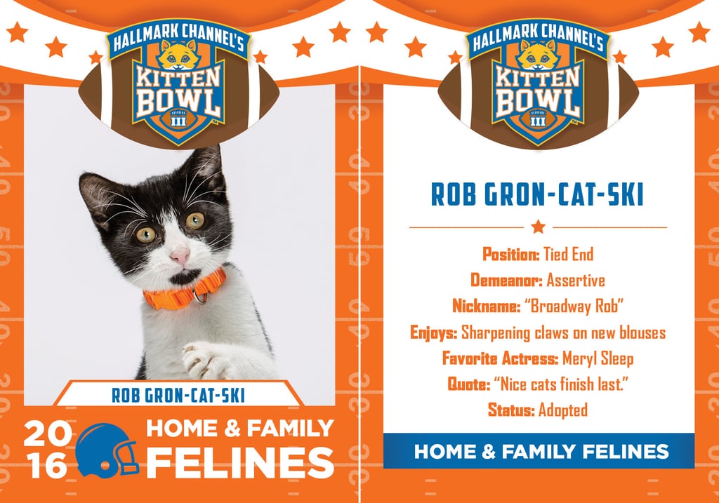 Kitten Bowl 2016