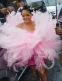 Rihanna's Pink Feather Dress Just Reminded Me: Where's the Flamingo Emoji When You Need It?