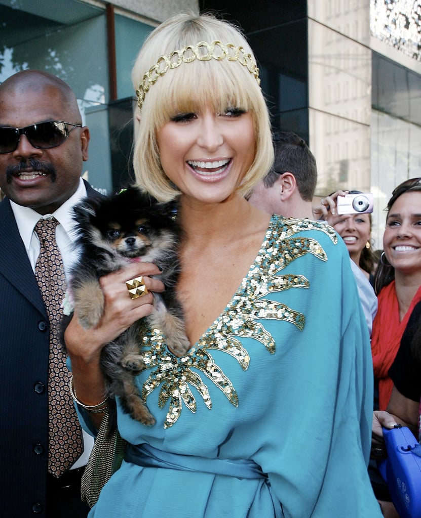 Cute Pet Manicures Cute Pet Manicures