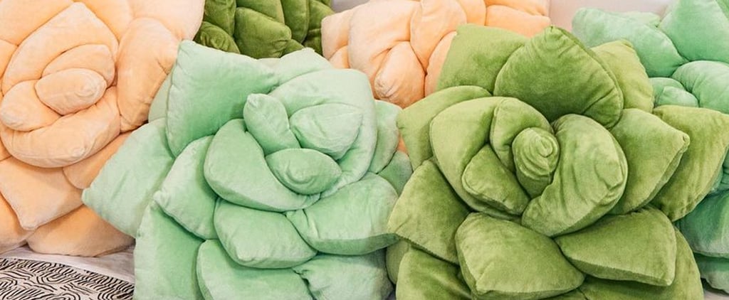 Shop Realistic Succulent Pillows | Green Philosophy Co.