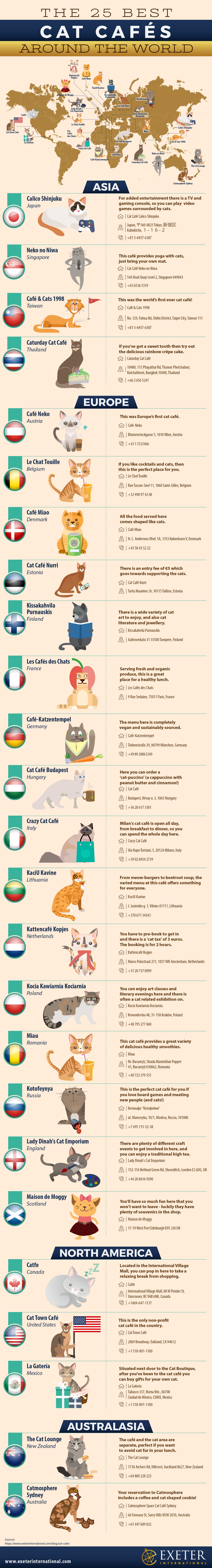 The Best Cat Cafes Around the World POPSUGAR Smart Living UK The Best Cat Cafes Around the World POPSUGAR Smart Living UK