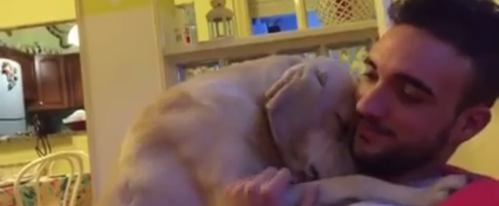 Dog Hugs His Owner