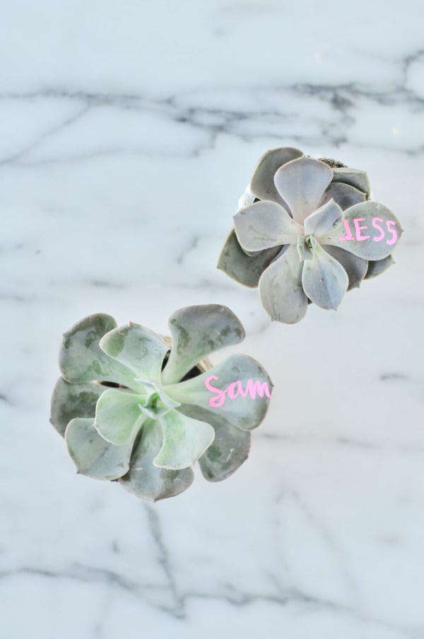 DIY SUCCULENT PLACE CARDS