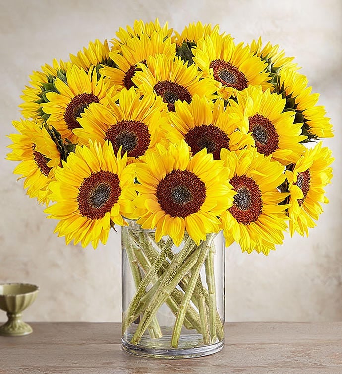 Sunny Sunflowers: 1-800-Flowers Sunflower Bouquet