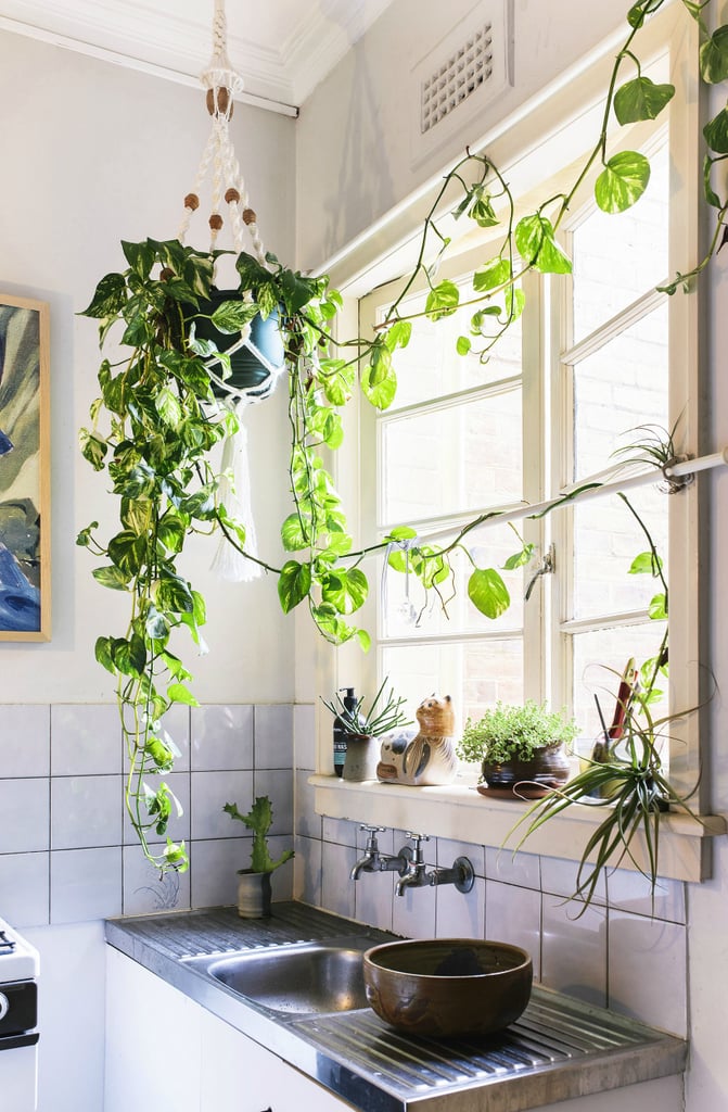 Houseplants enliven the small space.