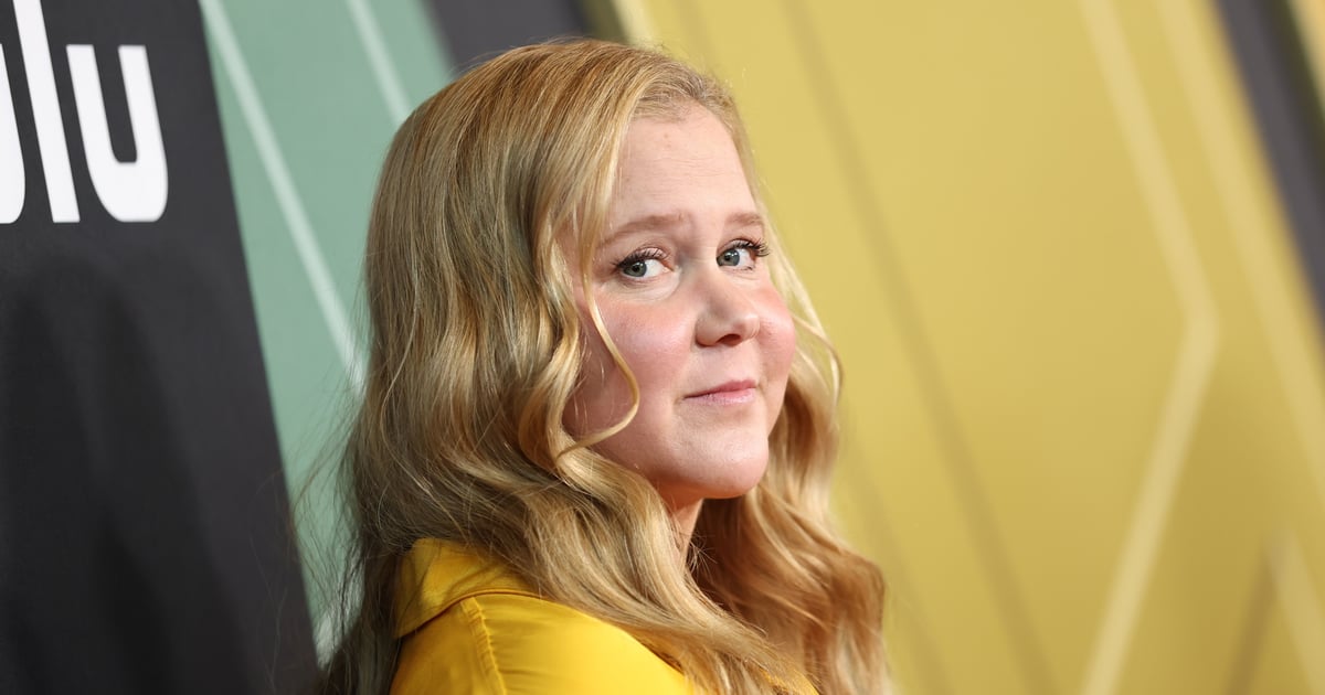 Amy Schumer Invests in Fertility Company After IVF Journey | POPSUGAR ...