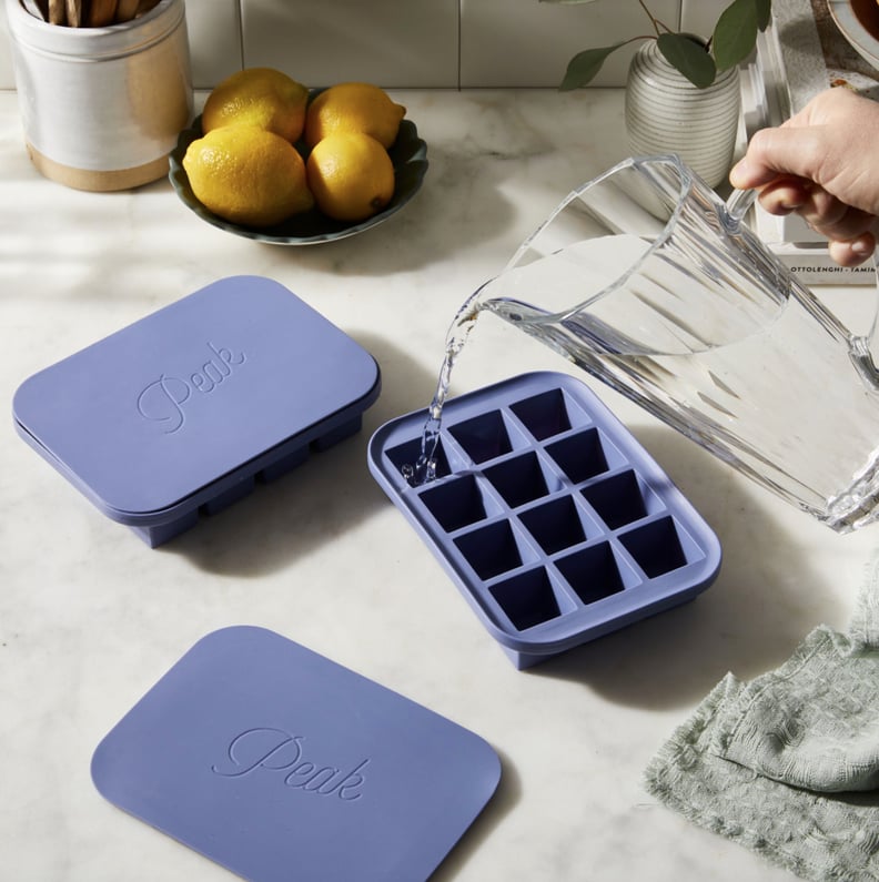 W&P Everyday Ice Cube Trays with Lid