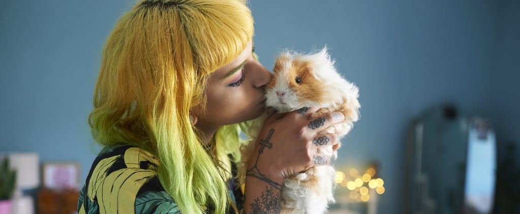 10 of the Easiest Small Pets to Take Care Of