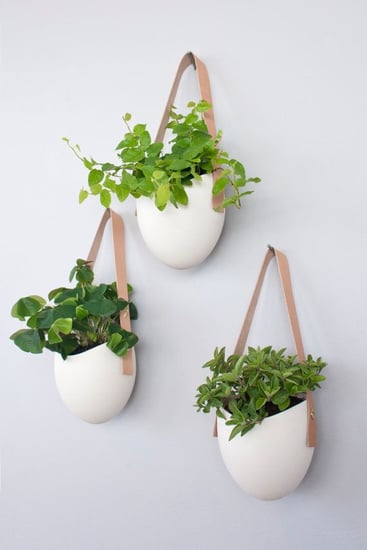 Hanging Wall Planters