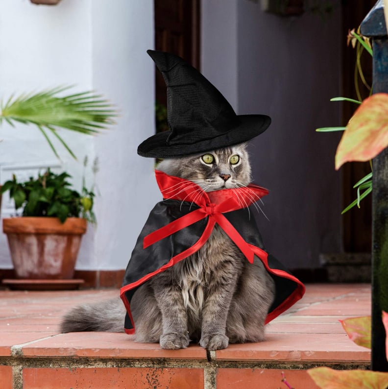 Vampire Cape and Hat Cat Costume