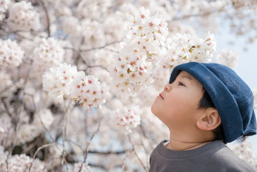 Go on a Flower Walk