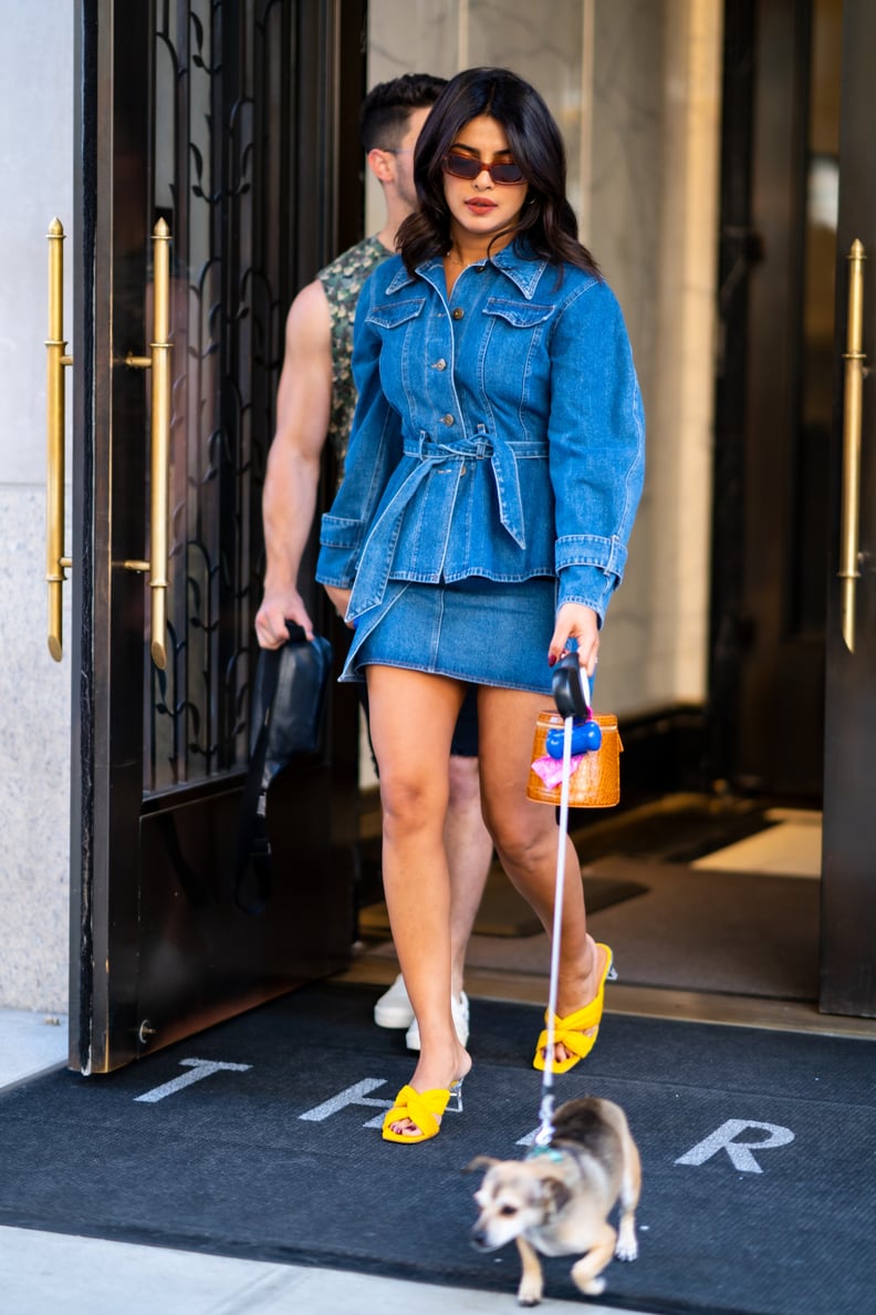 Priyanka Chopra Walking Her Dog With Nick Jonas