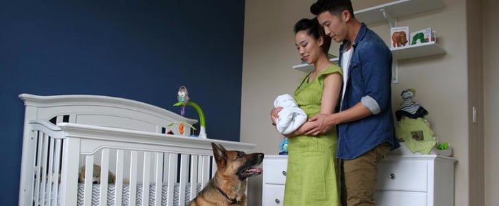 Pregnancy Time-Lapse Video