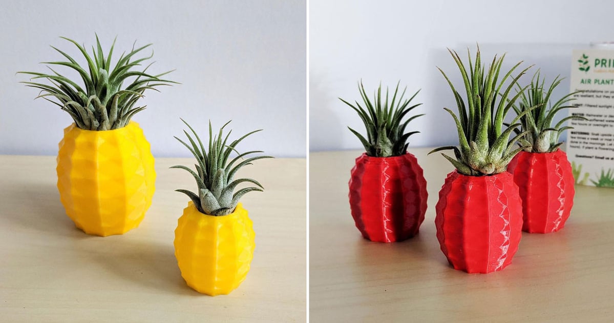 Etsy's Pineapple Air Plant Holders Are Beyond Cute | PS Home