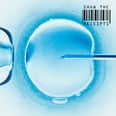 The $303,750 Reality of a "Long Haul" IVF Journey