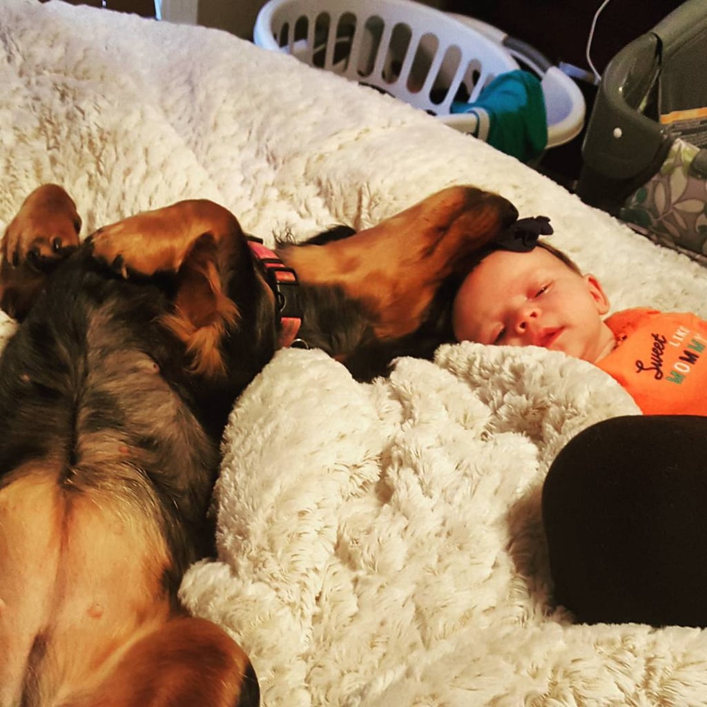 Cute Pictures of Dogs Napping With Kids and Babies