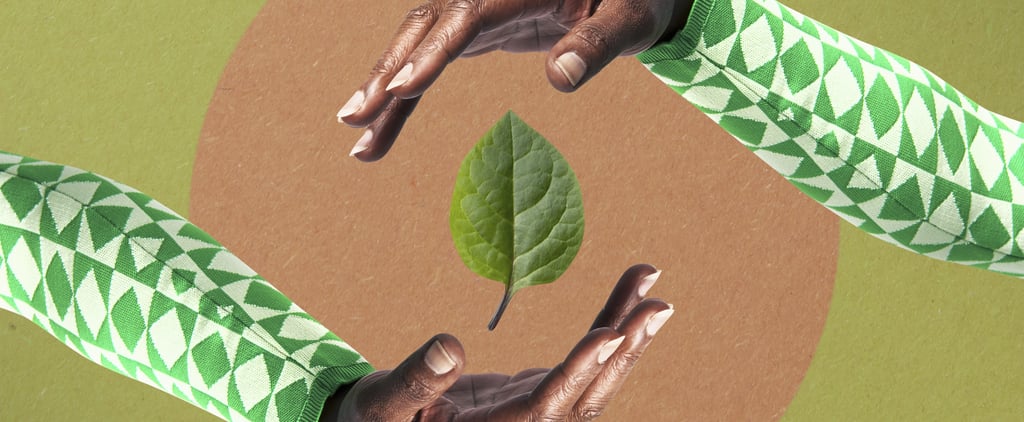 All About "Upcycled Beauty" in Skin Care