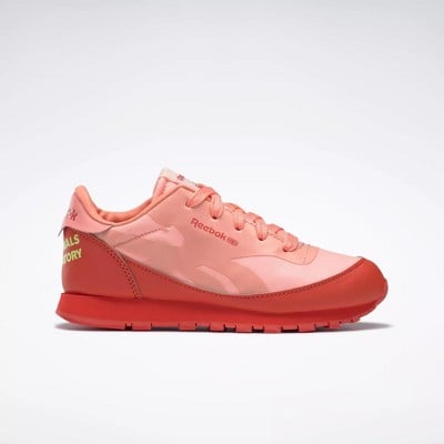 Reebok The Animals Observatory Leather Shoes