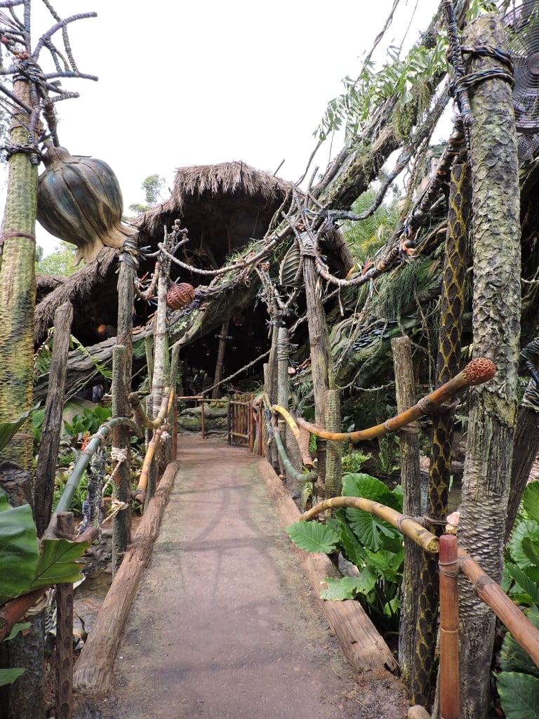 Which Pandora World of Avatar Ride Is For Kids?