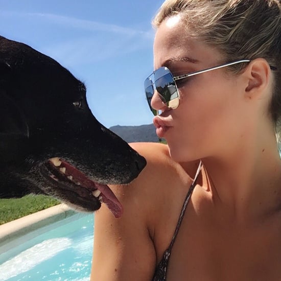 Khloe Kardashian's Dog Gabbana Dies