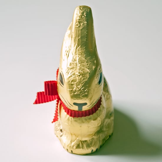 The Best Chocolate Bunny