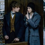 Fantastic Beasts: Details Could Conjure