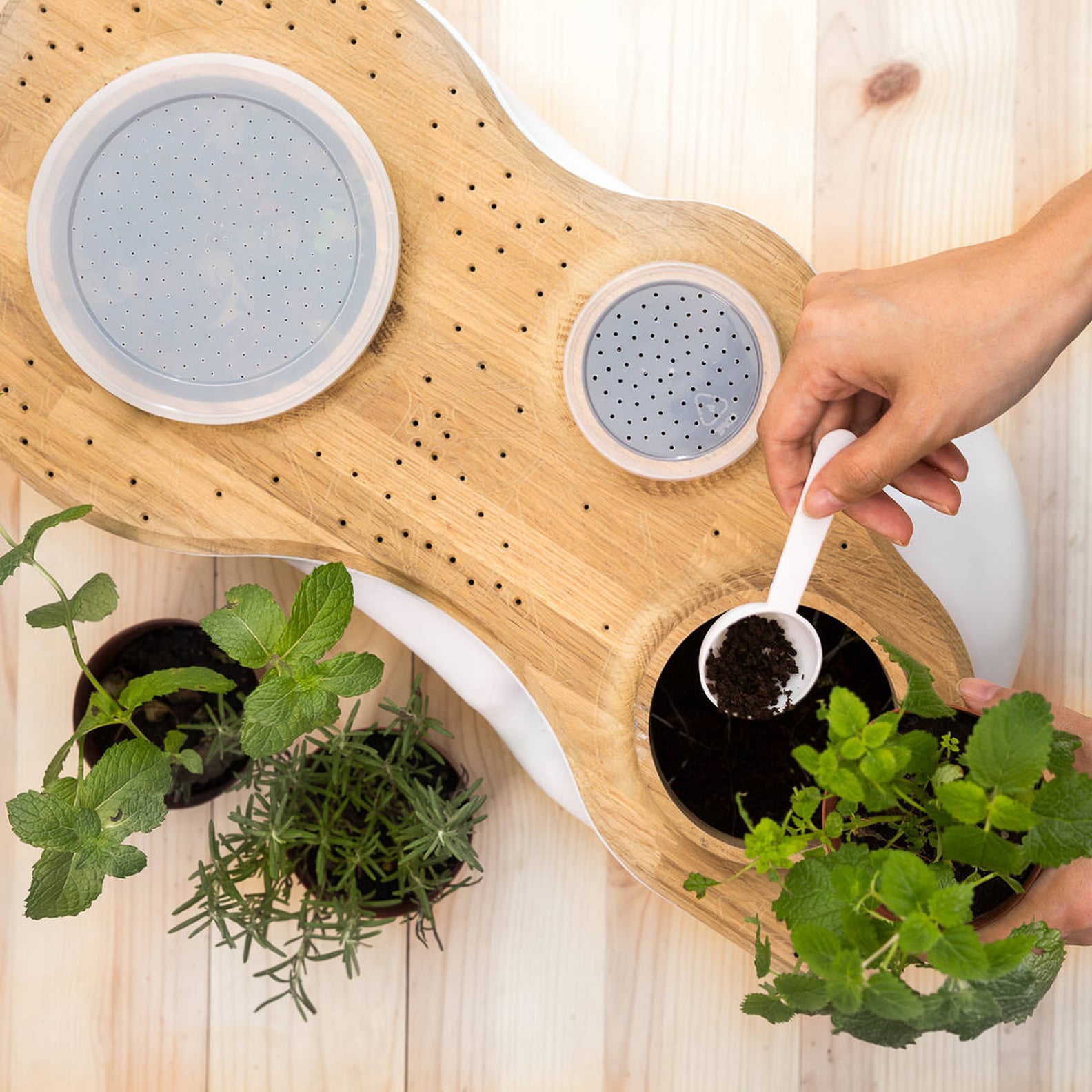 Best Composting Product For Apartments | PS Smart Living