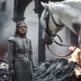 Confused About the White Horse on Game of Thrones? Here's What It Could Mean