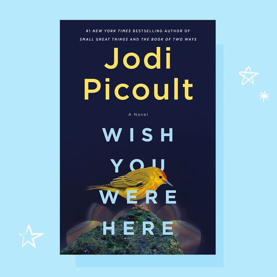 Jodi Picoult Wish You Were Here Book Review