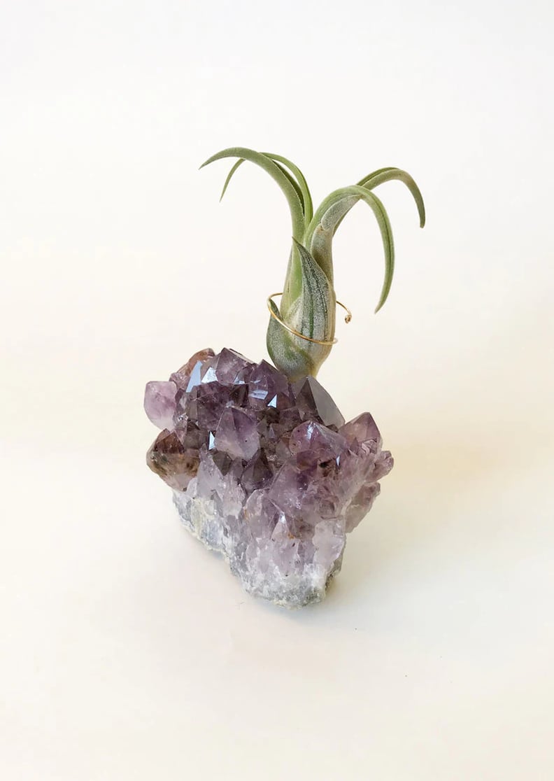 For Decor Enthusiasts: Medium Amethyst Geode Air Plant Holder