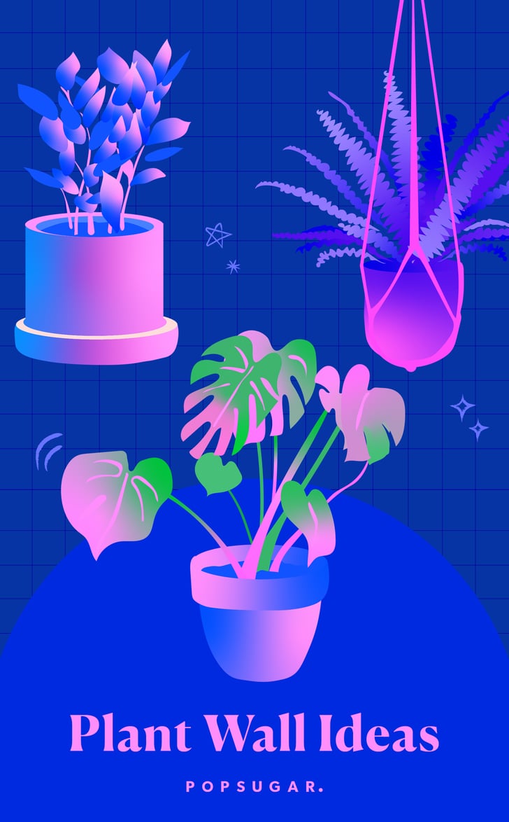 Plant Wall Ideas Plant Wall Ideas