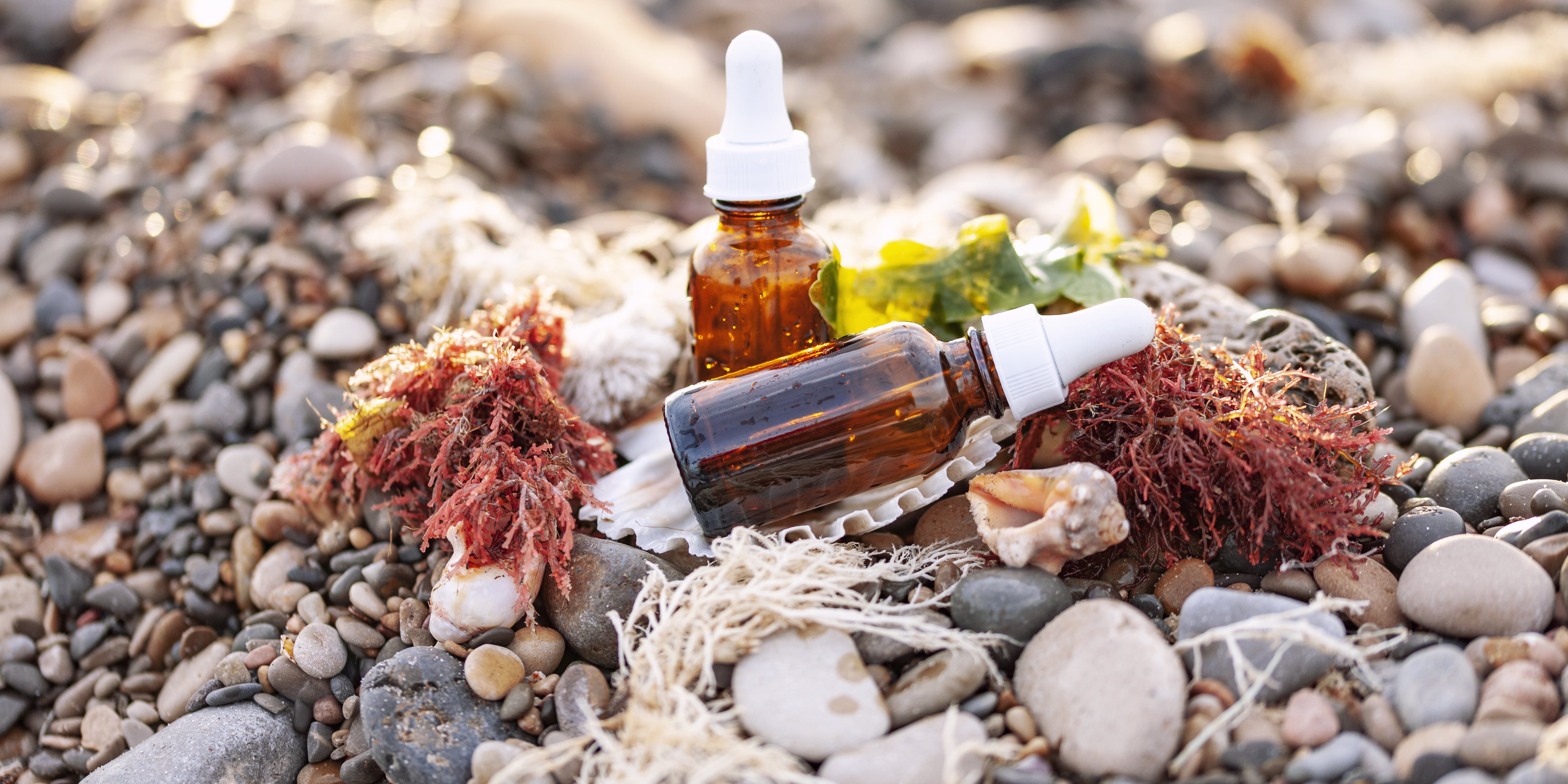 Is Sea Moss Good For You? | POPSUGAR Food - Vimarsana News