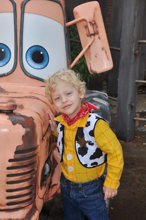 Woody Toy Story Costumes