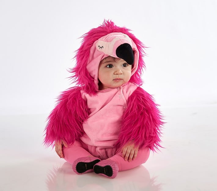 The Cutest Flamingo in the Neighbourhood: Baby Flamingo Halloween Costume