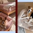 13 Amazon Dog Beds That Will Make Your Pup Feel Like Royalty