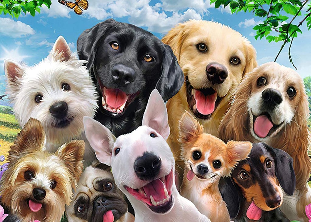 Funny Dog Jigsaw Puzzle