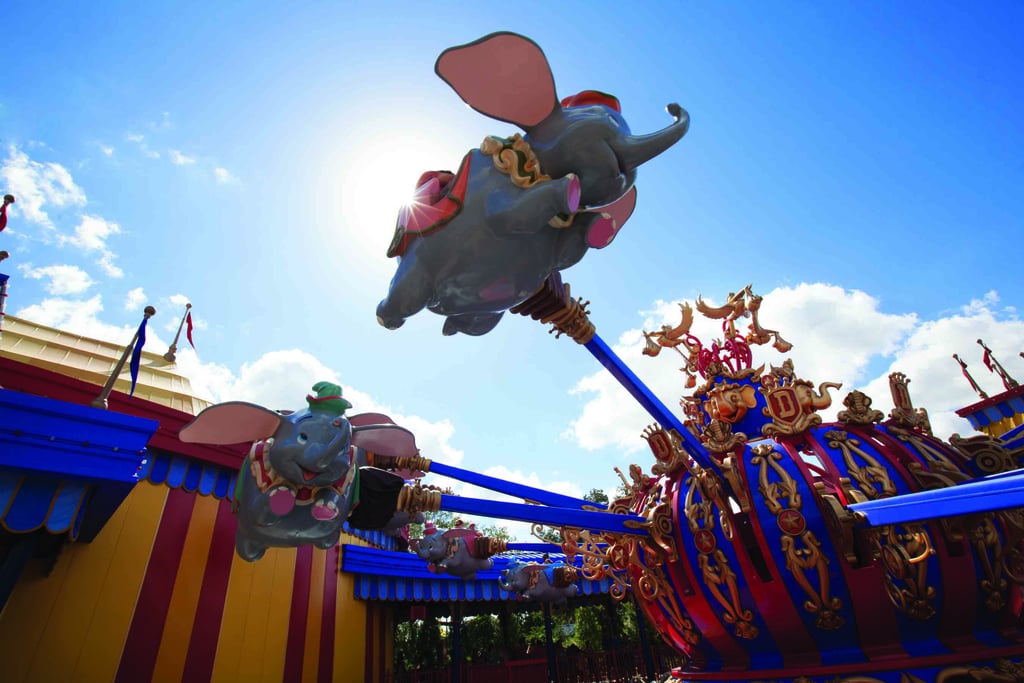 Dumbo Pilot's Licence