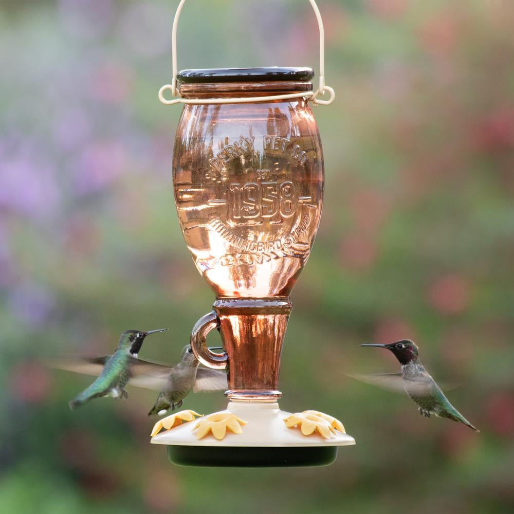 顶部填充喂食器:Perky-Pet糖枫装饰玻璃蜂鸟喂食器