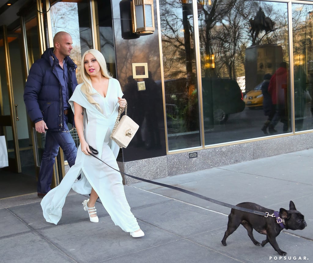 Lady Gaga took her French bulldog for a walk in NYC on Saturday.