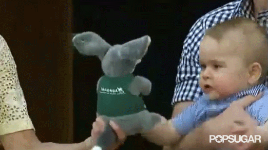 "Don't try to calm me down with a toy! I am furious!"