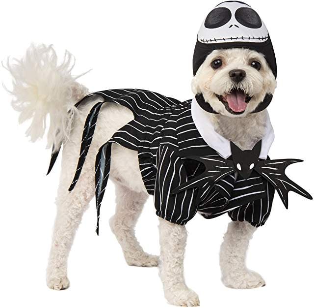 Jack Skellington Dog Halloween Costume