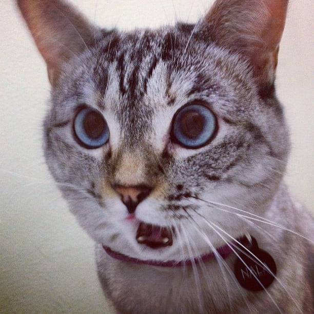 "You have literally got to be kidding me."