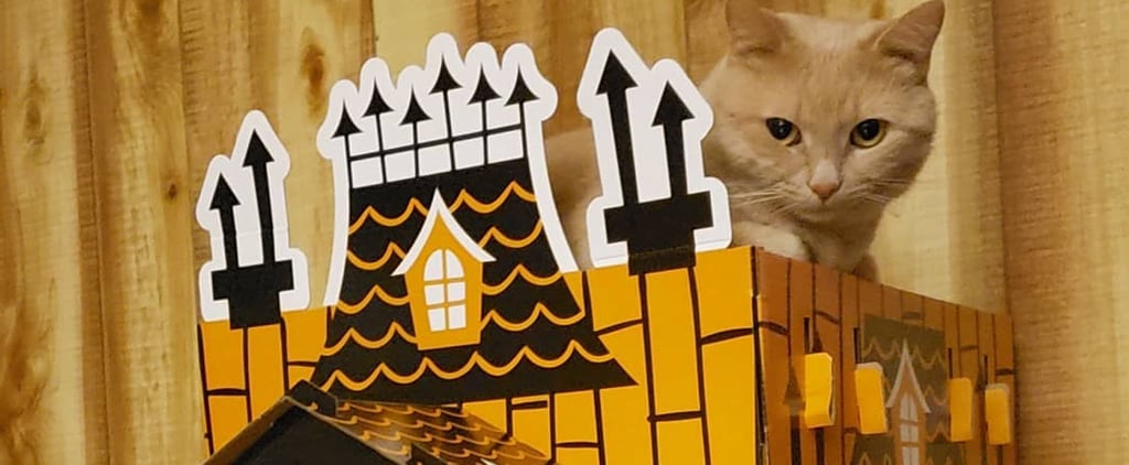 Target Has Mini Haunted Houses For Cats, and I'm Paw-sitively Obsessed With Them