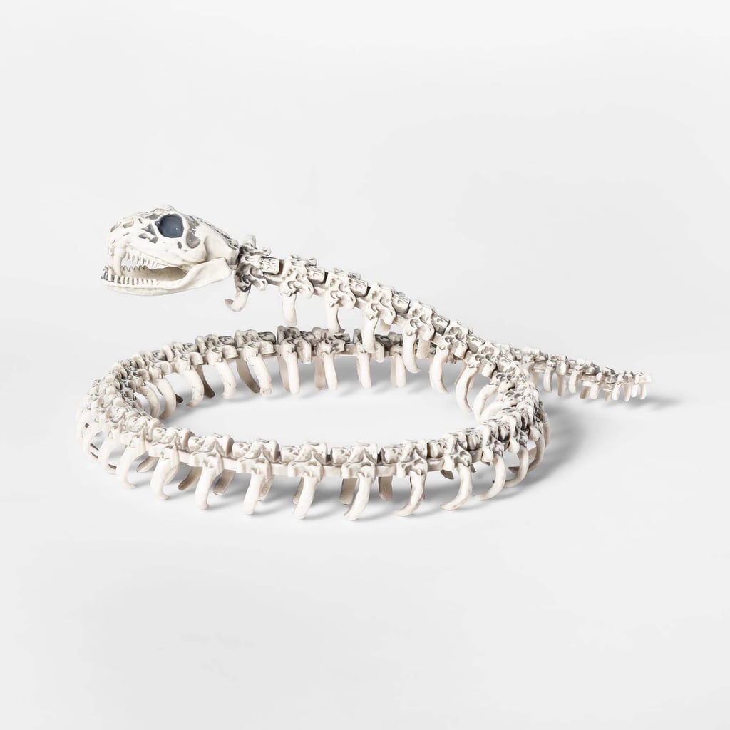 Snake Skeleton