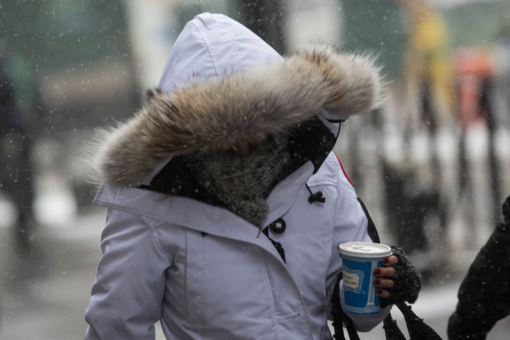 A woman walked through the snowy NYC streets.