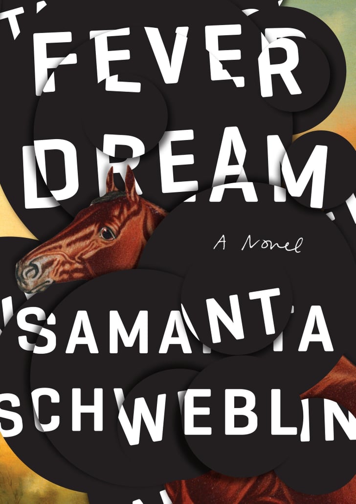 fever dream schweblin fever dream schweblin