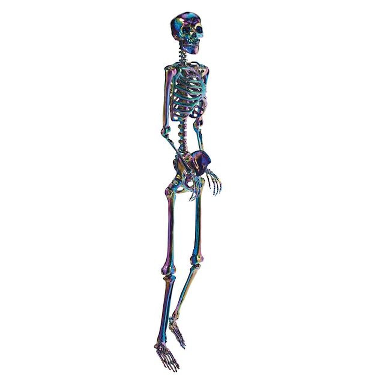 Shop Grandin Road’s LifeSize Iridescent Halloween Skeleton POPSUGAR Home