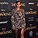 Celebrities at The Lion King World Premiere LA Pictures 2019